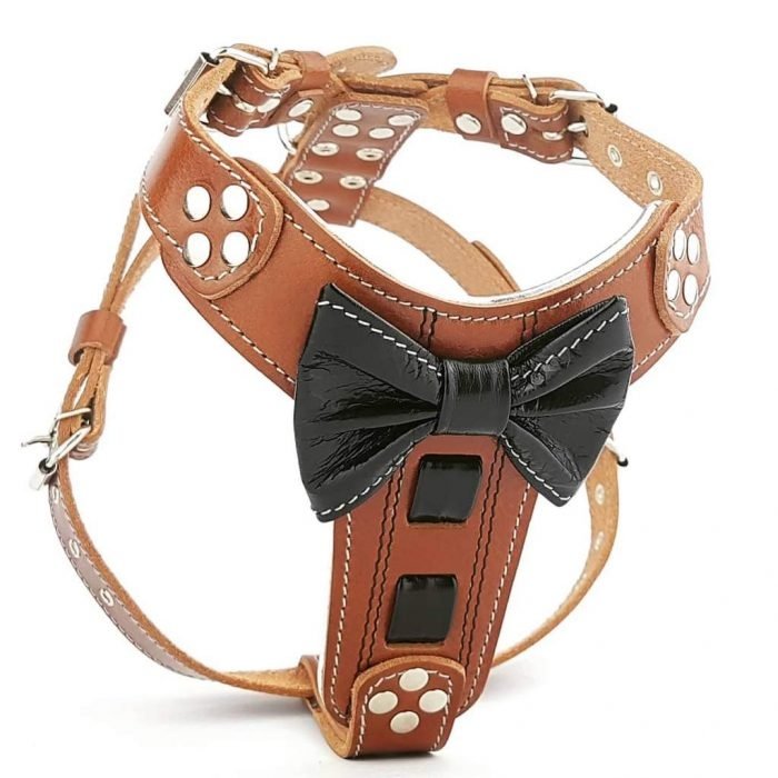 Leather Dog Collar