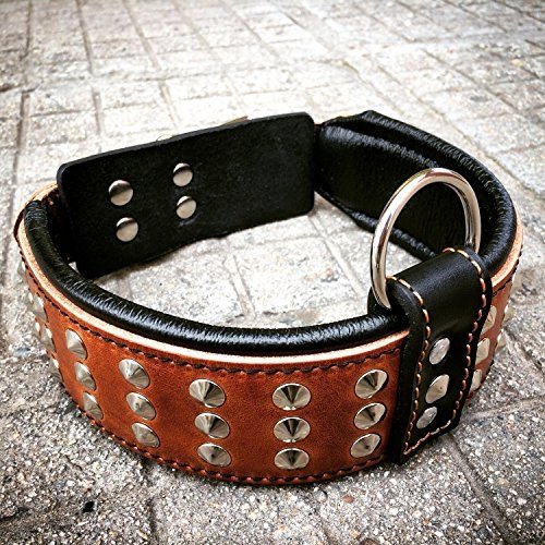 Leather Dog Collar